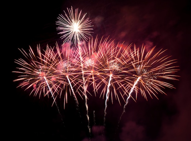 Fuegos artificiales en el cielo oscuro de fondo