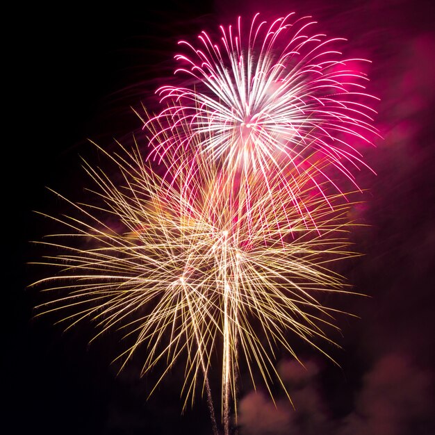 Fuegos artificiales en el cielo oscuro de fondo