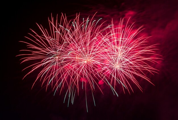 Fuegos artificiales en el cielo oscuro de fondo