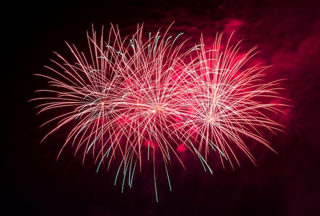 Fuegos artificiales en el cielo oscuro de fondo