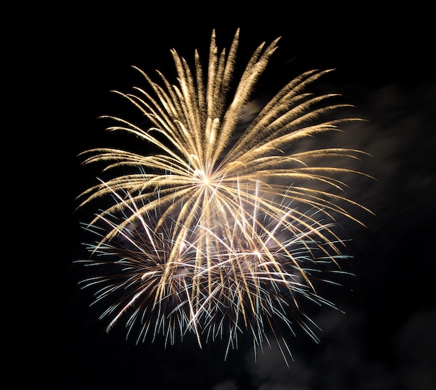 Fuegos artificiales en el cielo oscuro de fondo