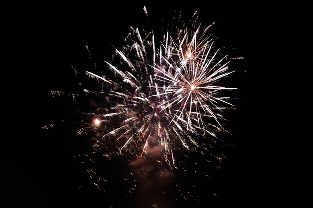 Fuegos artificiales estallando en el cielo nocturno difundiendo un ambiente festivo