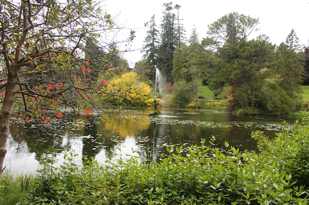 Foto gratuita fuente en el lago