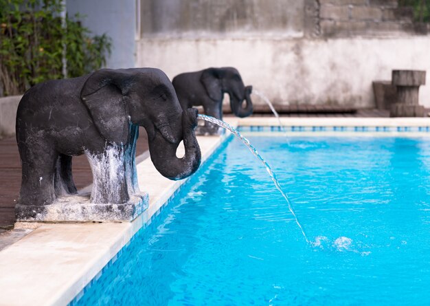 Fuentes con forma de elefante