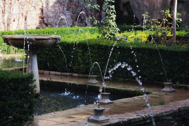 Fuentes en el jardín