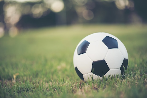 Fútbol en el campo de hierba en el parque