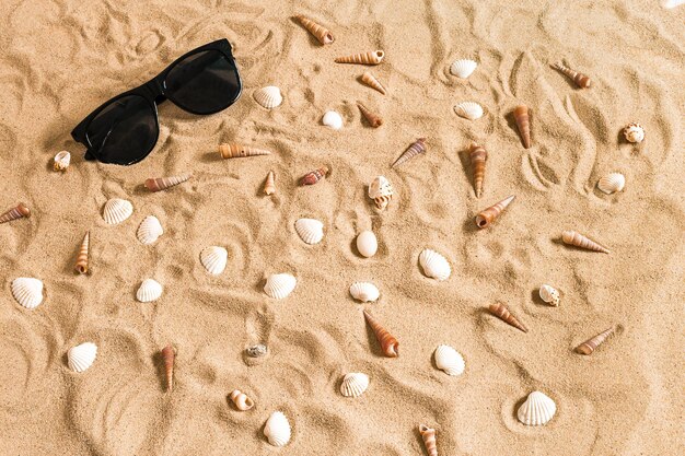 Gafas de sol y conchas de mar sobre fondo de arena de la playa, fondo de vacaciones de vacaciones de verano