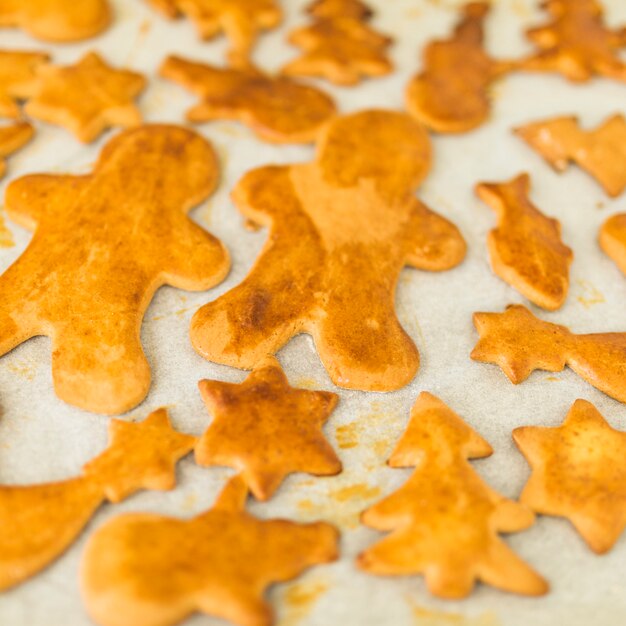 Galletas al horno en diferentes formas.