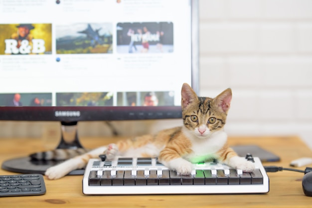 Foto gratuita gato acostado en el piano