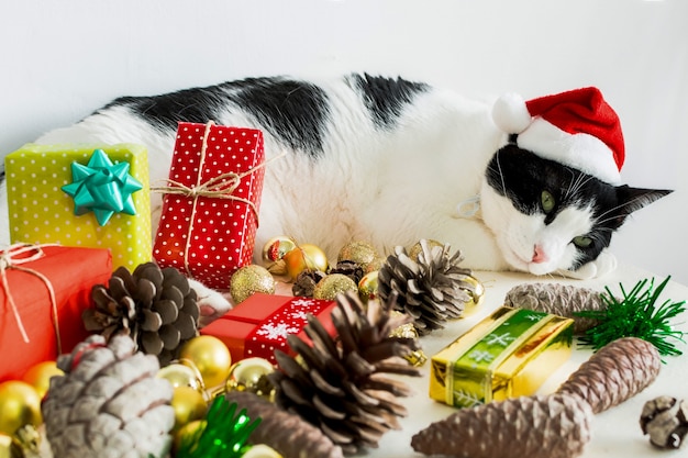 Gato blanco y negro con gorro de Papá Noel de Navidad con adornos sobre una mesa