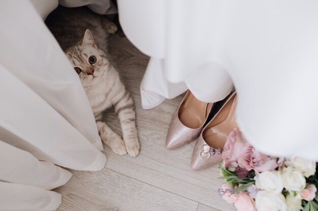 Gato gris cerca de cortinas, anillos de boda, ramo y zapatos en el piso