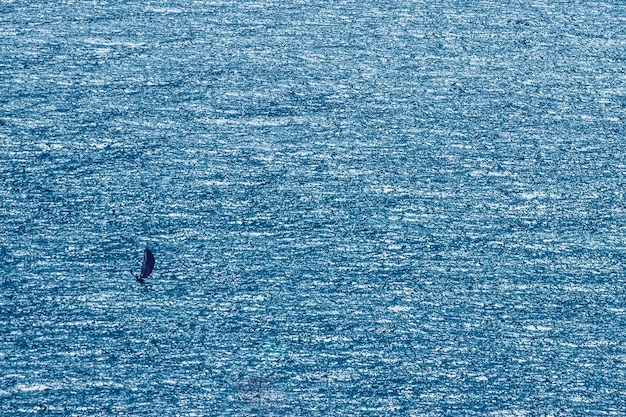 Foto gratuita gaviota volando sobre el mar