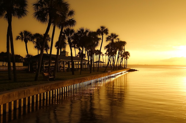 Gazebo rodeado de palmeras junto al agua durante una puesta de sol