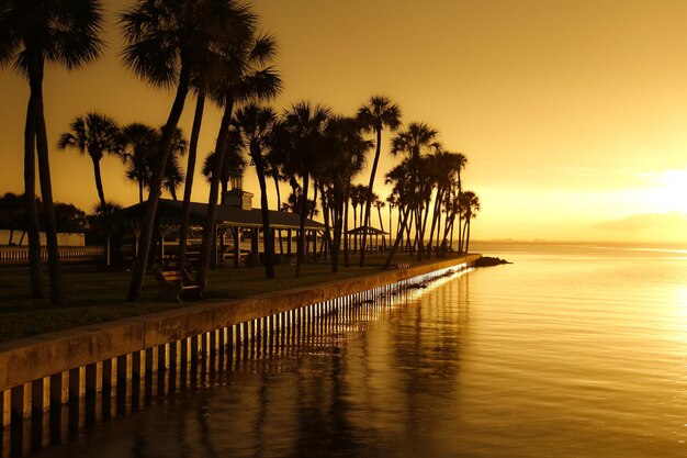 Gazebo rodeado de palmeras junto al agua durante una puesta de sol