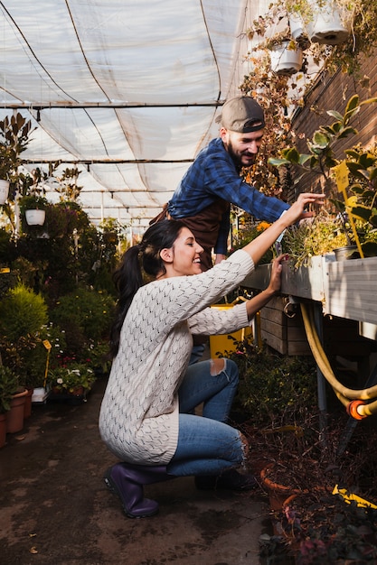 Gente alegre cuidando las plantas