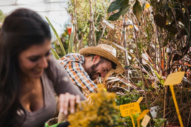 Gente alegre que trabaja con plantas