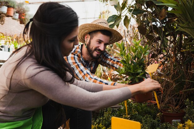 Gente arreglando plantas en invernadero