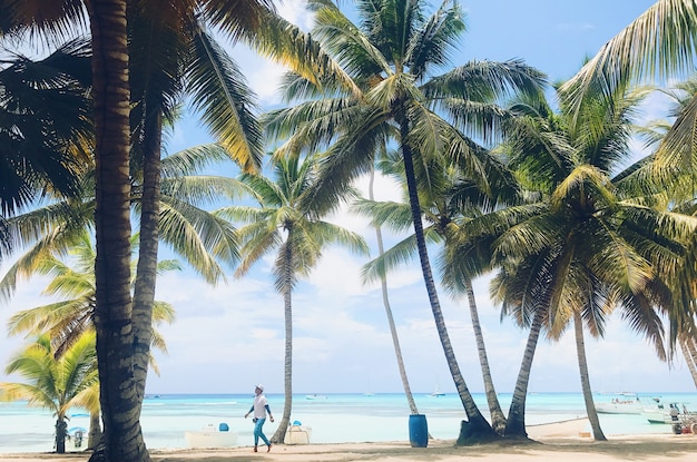 La gente camina en la playa dorada con palmeras antes de agua turquesa