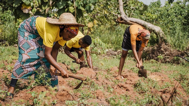 Foto gratuita gente de campo trabajando en el campo.