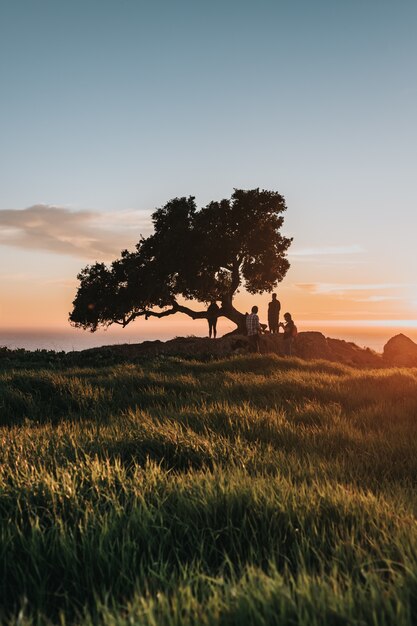 Gente cerca del árbol en la orilla durante la puesta de sol.