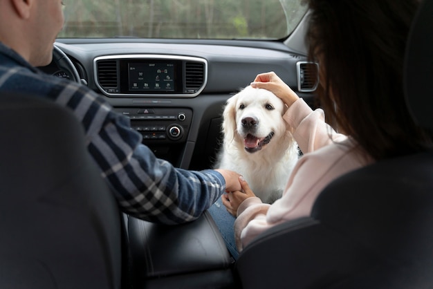 Gente de cerca con lindo perro en coche