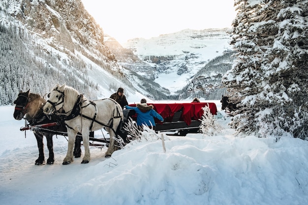 Gente cerca del vagón con bosque en el bosque nevado cerca del lago Louise en Canadá