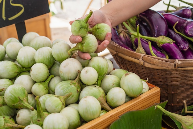 La gente compra berenjenas frescas en el mercado local - cliente en concepto de mercado de verduras