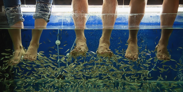 Foto gratuita gente haciendo masaje de spa de pescado de cerca en las piernas