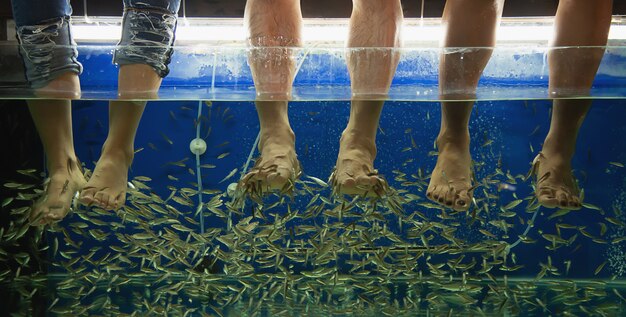 Gente haciendo masaje de spa de pescado de cerca en las piernas