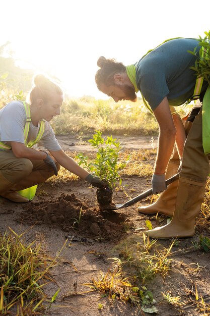 Gente plantando árboles en el campo