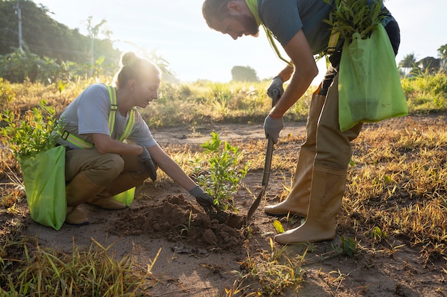 Gente plantando árboles en el campo