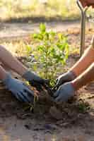 Foto gratuita gente plantando árboles en el campo