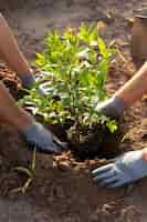 Foto gratuita gente plantando árboles en el campo