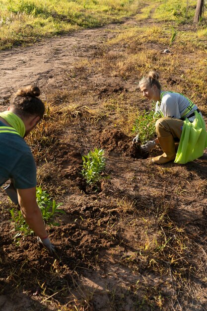 Gente plantando árboles en el campo