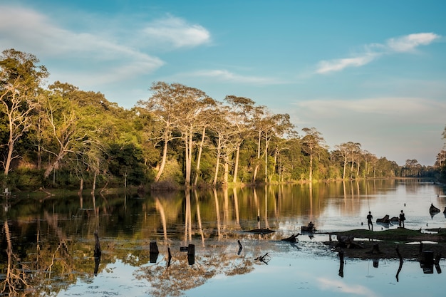 gente de silueta de pesca en el río y el bosque en el crepúsculo