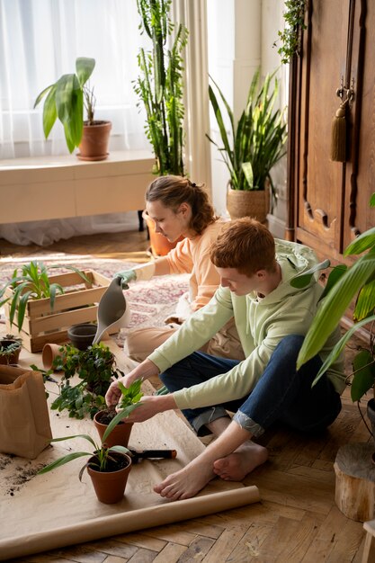 Gente trasplantando plantas en macetas nuevas