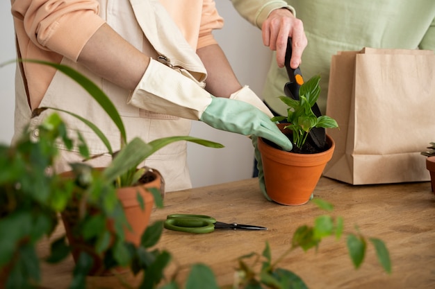 Gente trasplantando plantas en macetas nuevas