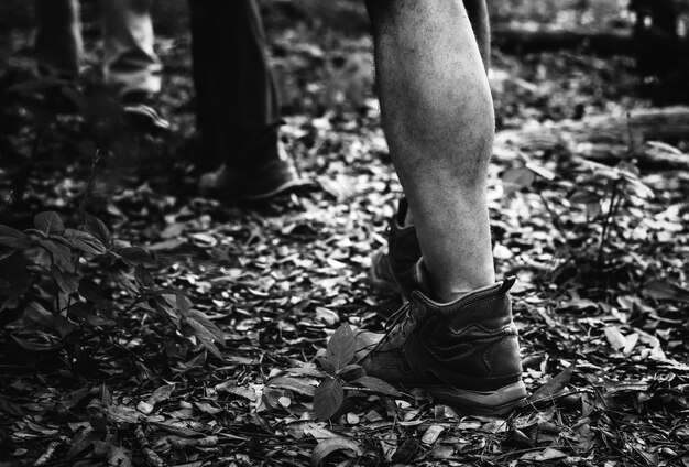 Gente trekking en el bosque