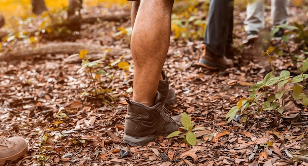 Foto gratuita gente trekking en el bosque