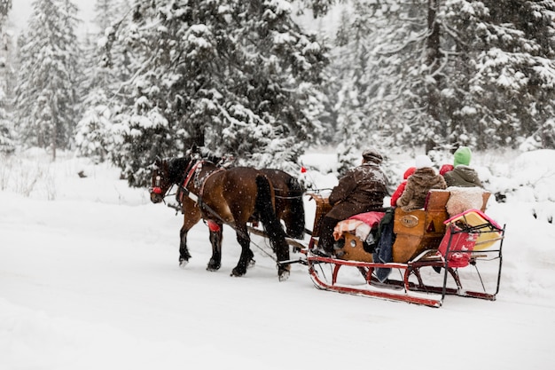 Gente en trineo con caballos en el bosque de invierno