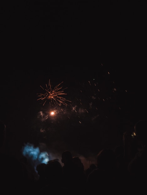 Gente viendo fuegos artificiales en el cielo nocturno