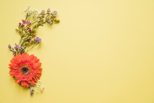 Gerbera y flores silvestres