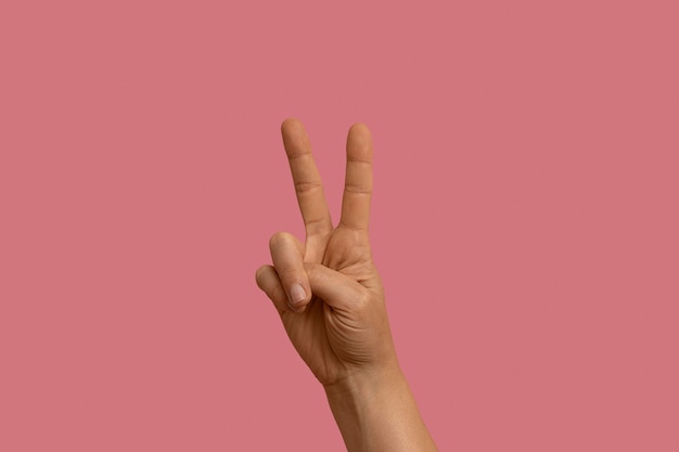 Gesto de lenguaje de señas aislado en rosa