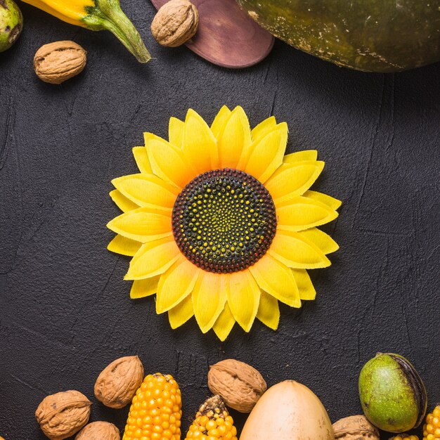 Girasol y verduras