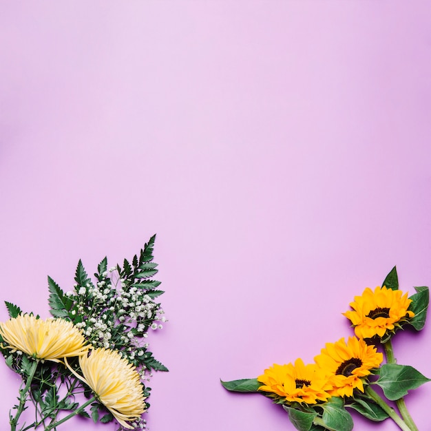 Girasoles y flores silvestres