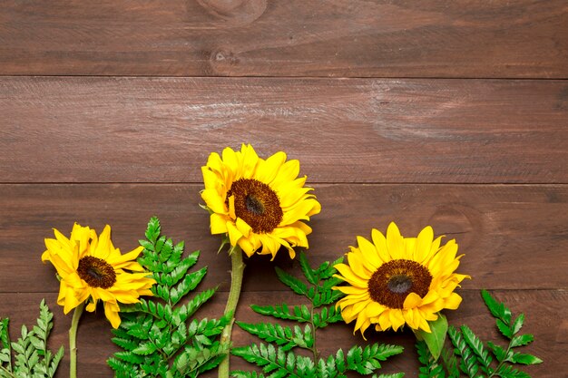 Girasoles y hojas de helecho sobre fondo de madera