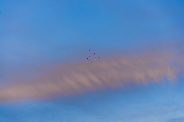 globos en el cielo