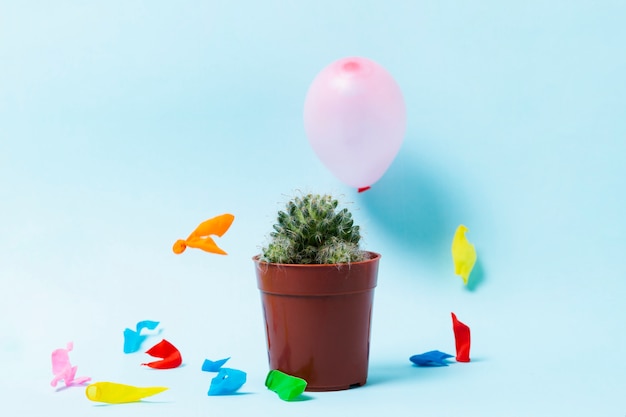 Foto gratuita globos reventados y cactus sobre fondo azul.