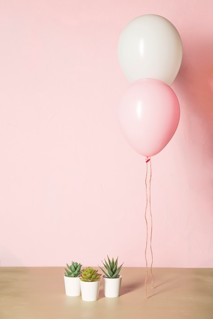 Foto gratuita globos rosas y cactus