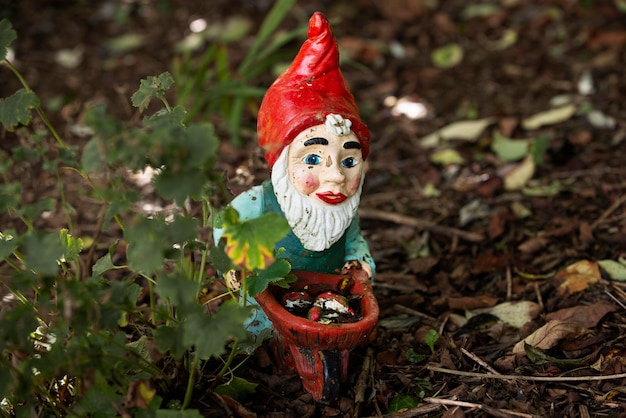 Gnomo de jardín divertido al aire libre